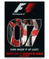 2007 FIA F1世界選手権総集編 DVD　完全日本語版