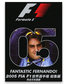 2005 FIA F1世界選手権総集編 DVD　完全日本語版画像サブ