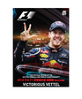 2012 FIA F1世界選手権総集編 完全日本語版 DVD…