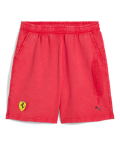 【30%オフセール】PUMA フェラーリ レース デザート サン ラスベガス ショーツ / LS-W…