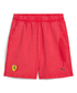 【30%オフセール】PUMA フェラーリ レース デザート サン ラスベガス ショーツ / LS-W