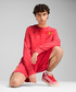 【30%オフセール】PUMA フェラーリ レース デザート サン ラスベガス シャルル・ルクレール クルースウェット レッド / LS-W画像サブ