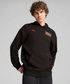 PUMA FORMULA 1 DTS Relaxed フーディー画像サブ