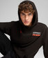 PUMA FORMULA 1 DTS Relaxed フーディー画像サブ