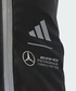 メルセデス AMG ペトロナス F1 チーム システム バックパック画像サブ