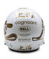 BELL 1/2スケール フェルナンド・アロンソ 2025年 中国GP アストンマーチン ヘルメット画像サブ