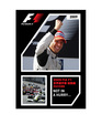 2009 FIA F1世界選手権総集編DVD　完全日本語版
