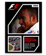 2008 FIA F1世界選手権総集編 DVD　完全日本語版