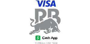 VISA CASH RB