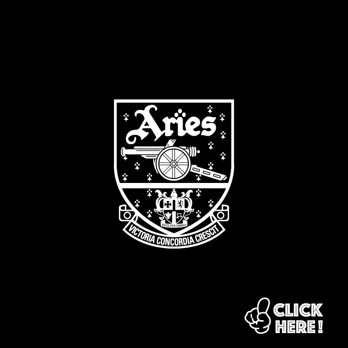 arsenal aries